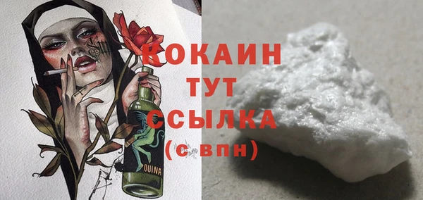 прущие грибы Козельск