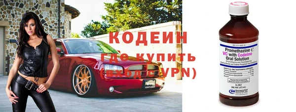 прущие грибы Козельск