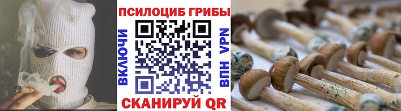 Купить  Сухой Лог  Псилоцибиновые грибы ЛСД 